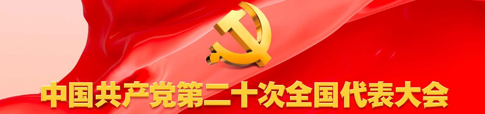 二十大专题